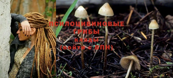 мяу мяу мука Новосибирск