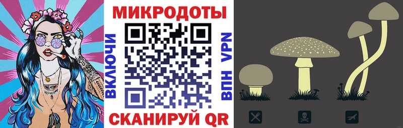 Галлюциногенные грибы MAGIC MUSHROOMS  Шлиссельбург 